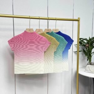Jia Ning's new versatile temperament slim fit short round neck high neck gradient color corn pleated top